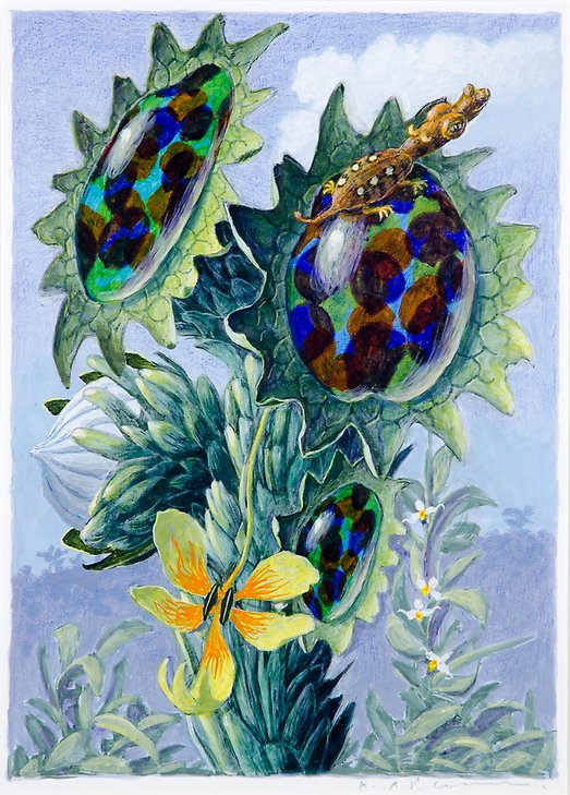 Botanisk raritet  1983  akvarell på papper  260 x 364 mm