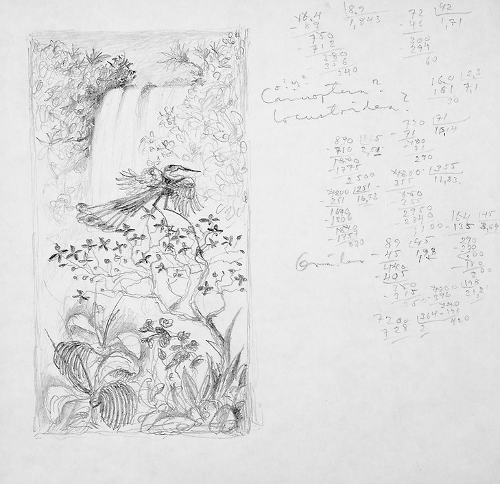 Teckning  1970  blyerts på papper  208 x 202 mm