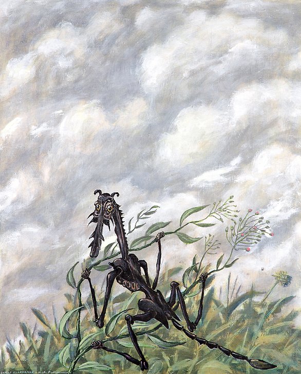 Black Bush Dragon  1970s  akrylic on canvas  597 x 625 mm