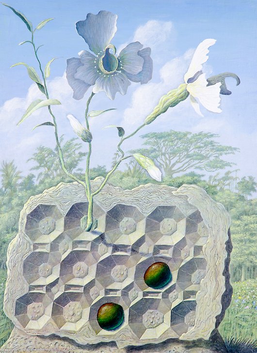 Den Structure with Eggs of Leucognathus Viridis  1974  acrylic on canvas  467 x 635 mm